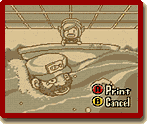The Legend of Zelda: Link's Awakening DX