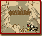The Legend of Zelda: Link's Awakening DX