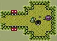 The Legend of Zelda: Link's Awakening DX