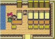 The Legend of Zelda: Link's Awakening DX