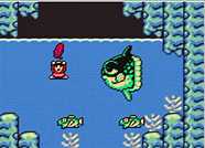 The Legend of Zelda: Link's Awakening DX