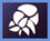 VELA