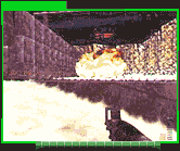 Perfect Dark