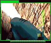 Perfect Dark