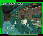 Perfect Dark