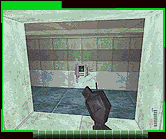 Perfect Dark