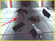 Perfect Dark