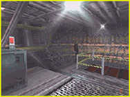 Perfect Dark