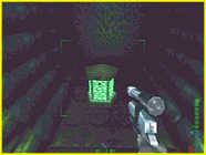 Perfect Dark