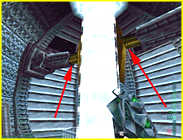 Perfect Dark