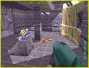 Perfect Dark