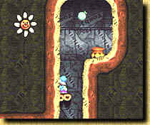 Yoshi´s Story