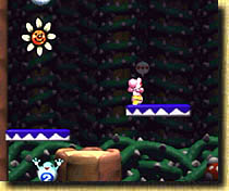 Yoshi´s Story