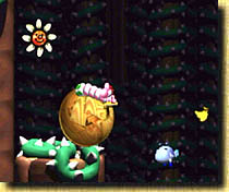 Yoshi´s Story