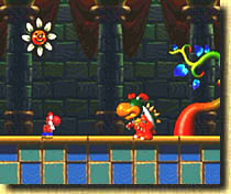 Yoshi´s Story