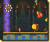 Yoshi´s Story