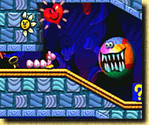 Yoshi´s Story