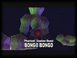 BONGO BONGO